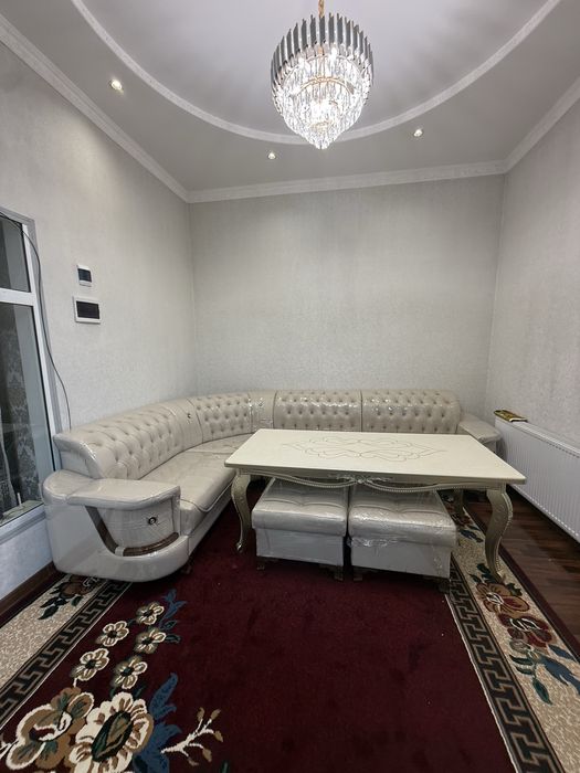 Ugalok noviy Pampris purjina