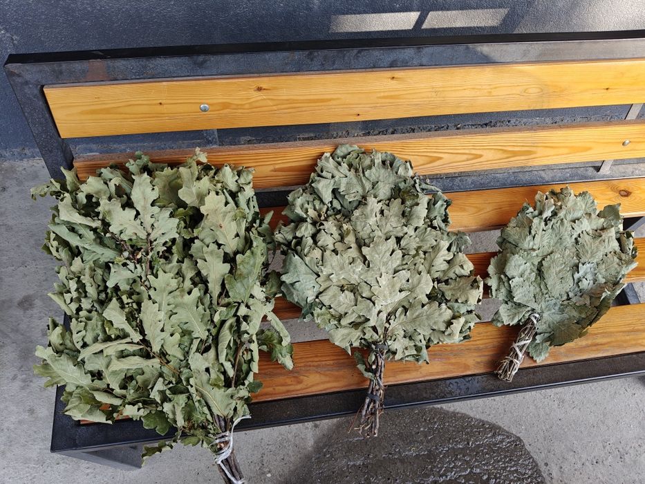 Веники для бани дубовые