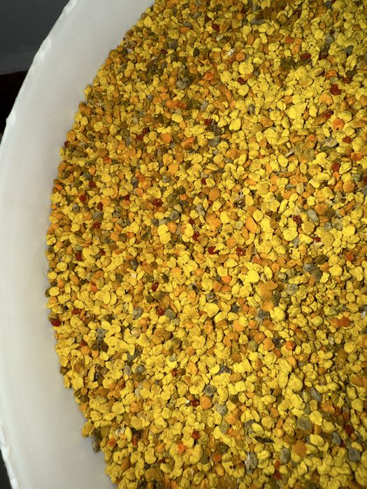 Polen poliflor de vânzare