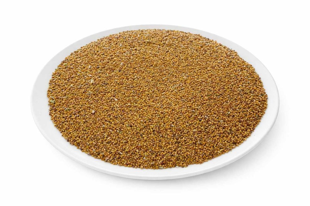 Продам клевер луговой - цена 3000 тг!