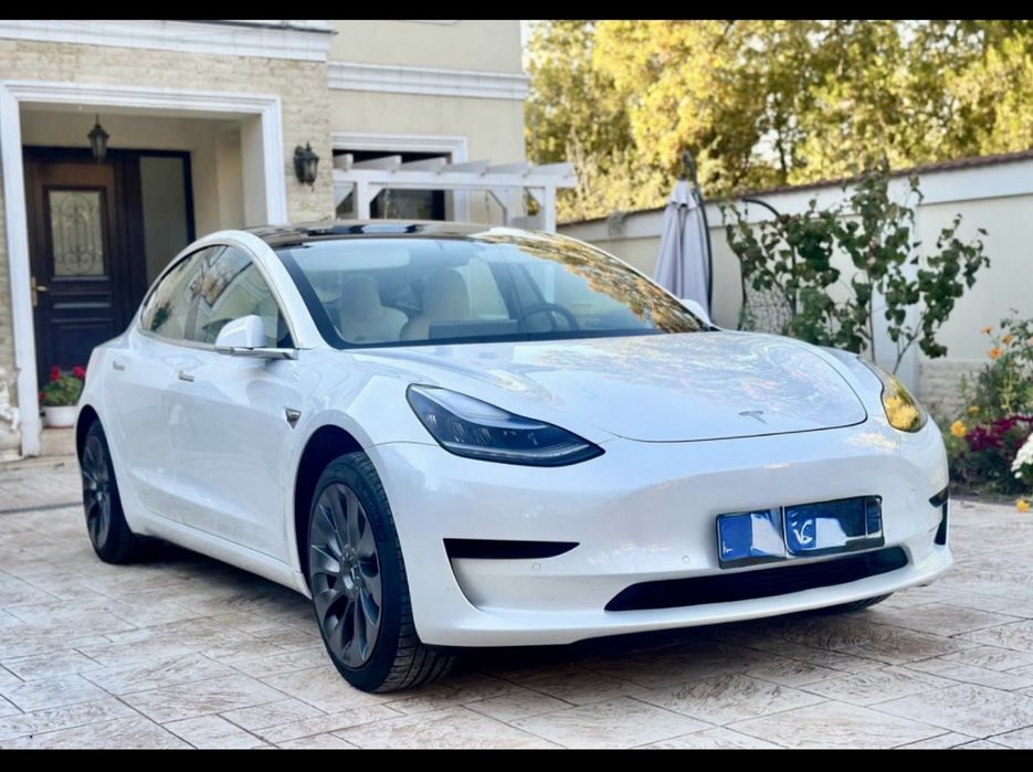 Tesla Model3 6/2020 Standard Range Plus 325CP...