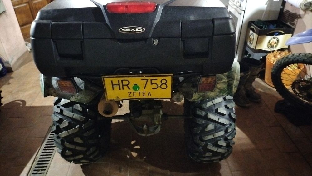 Atv Kawasaki brute force