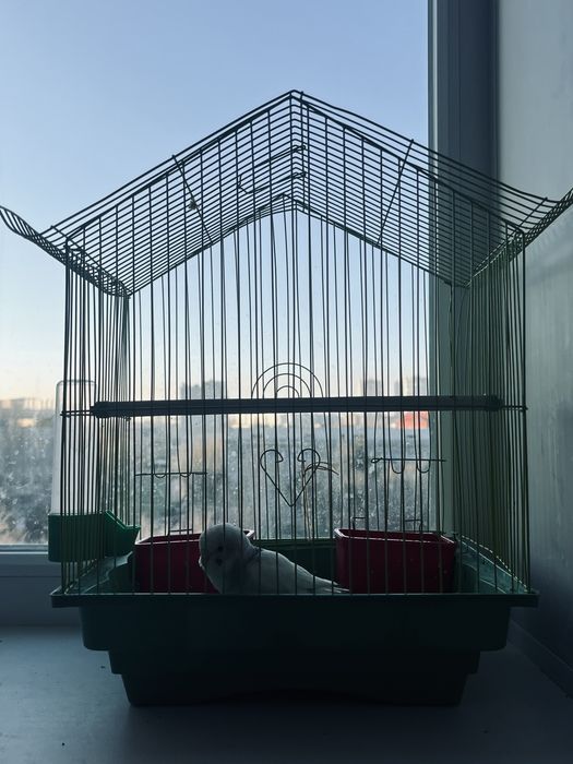 Клетка для попугая