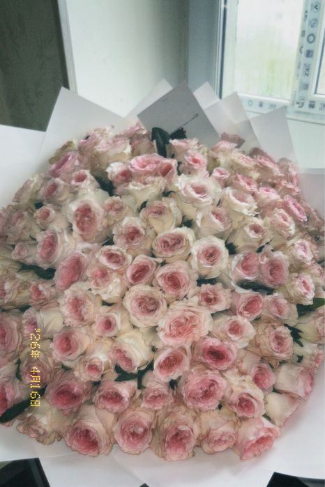 101 роза (запискасымен)