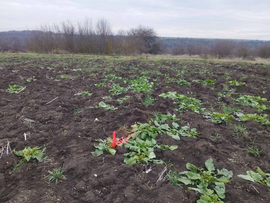 Продава се Парцел в к.к. Слънчев бряг - 3000 кв.м за 7 €/кв.м - Снимка #1