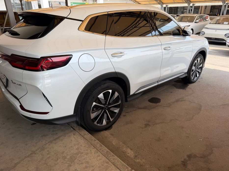 BYD Song Plus EV Champion 2024 — 2