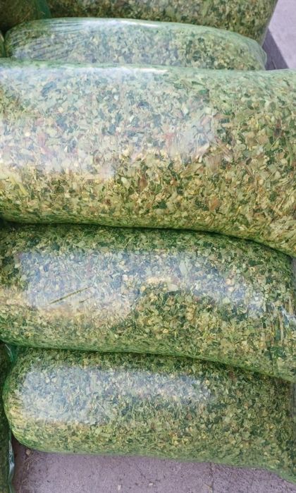 Selos 17 000 qopi 20 kg