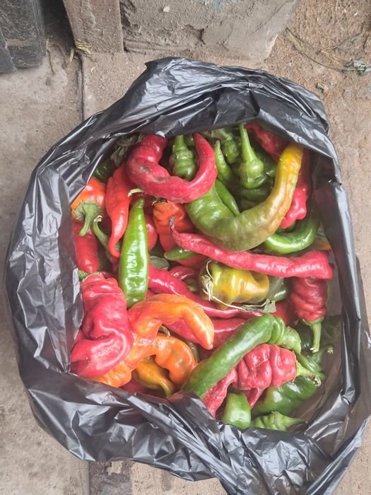 Продам домашний перец квашеная капуста баклажаны