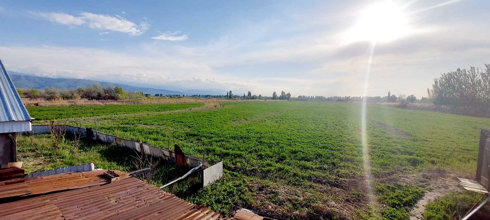 Продам дом и землю