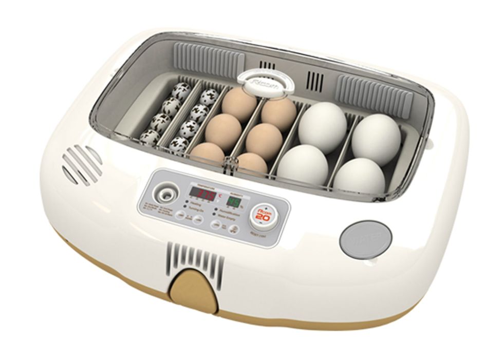 Зудлик билан сотилади инкубатор Rcom