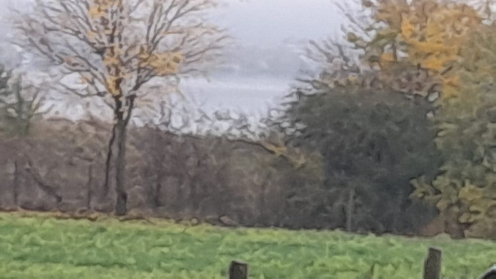 Vand casa aproape de dunare