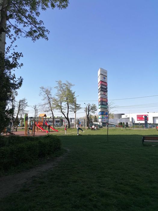 Ap. 2 camere, parter, str. Careiului, vis-a-vis de Shopping City Satu Mare