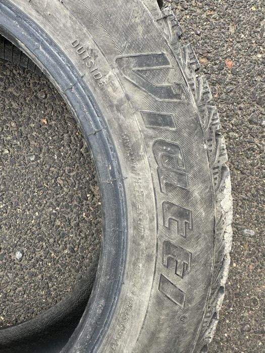 Шиный шиповоный