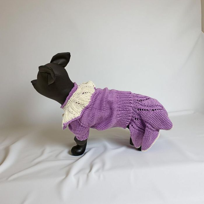 Одежда для собак