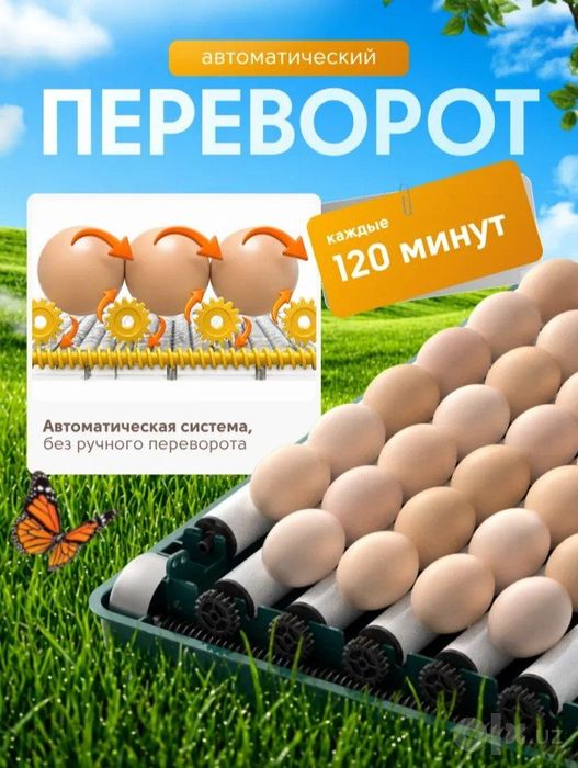 Inkubator 36 talik avtomat
