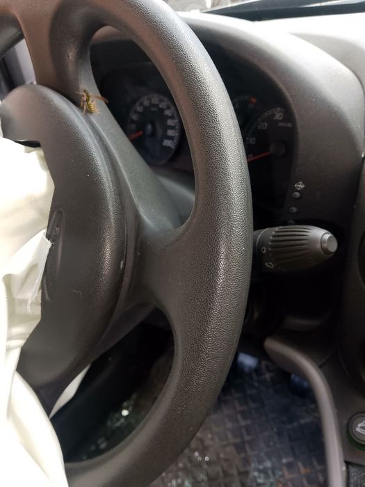 Fiat doblo 1.9multijet-на части