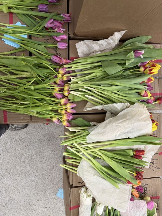 Отдам тюльпаны за 400тг