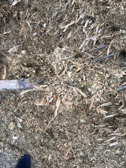 Силос сотилади. Арзон булади