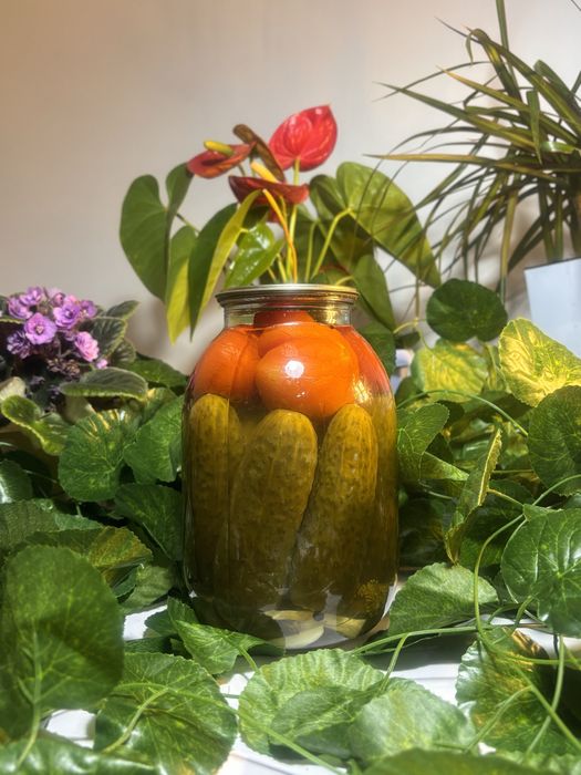 Домашные Соленные огурцы и ассорти