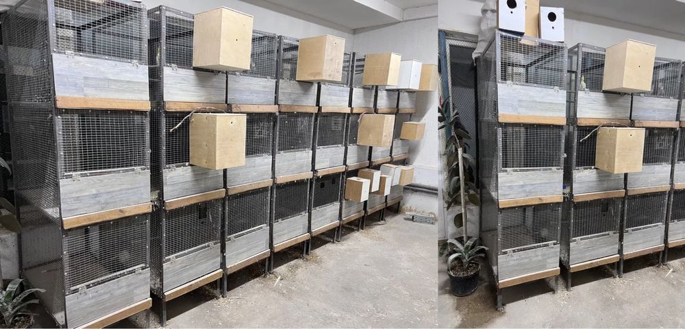 Qafas. Kletka. Клетка.