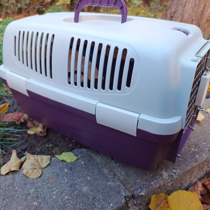 Pachet cusca, haine catei talie mica sau pisica