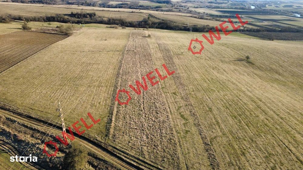 De vânzare teren extravilan în Căpeni