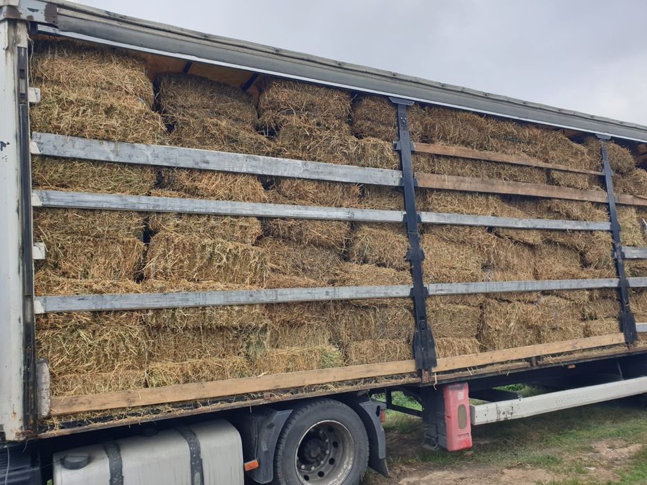 Baloți lucernă și fân