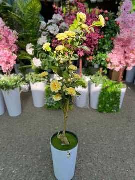 Декор дарахтлар офис ва ресторан учун