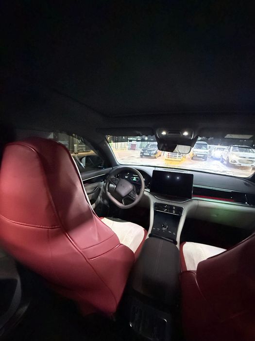 Byd chempion Smart 2025
