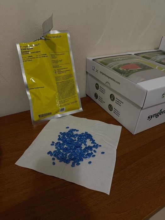 Семена за дини сорт Каристан F1 - Syngenta - 2500 в опаковка