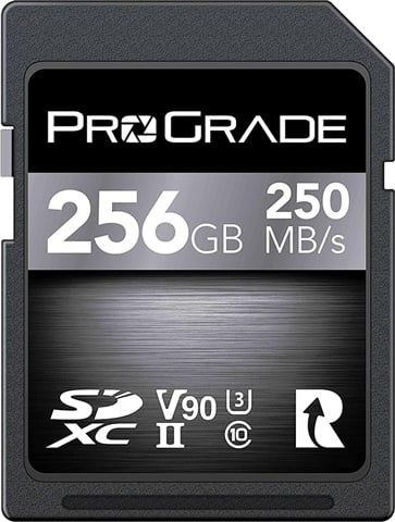 Card Prograde 256Gb V90