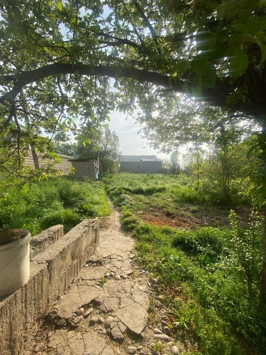 Участка 8 соттик