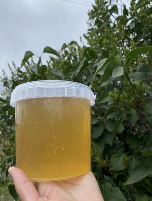 Продам натуральный мёд