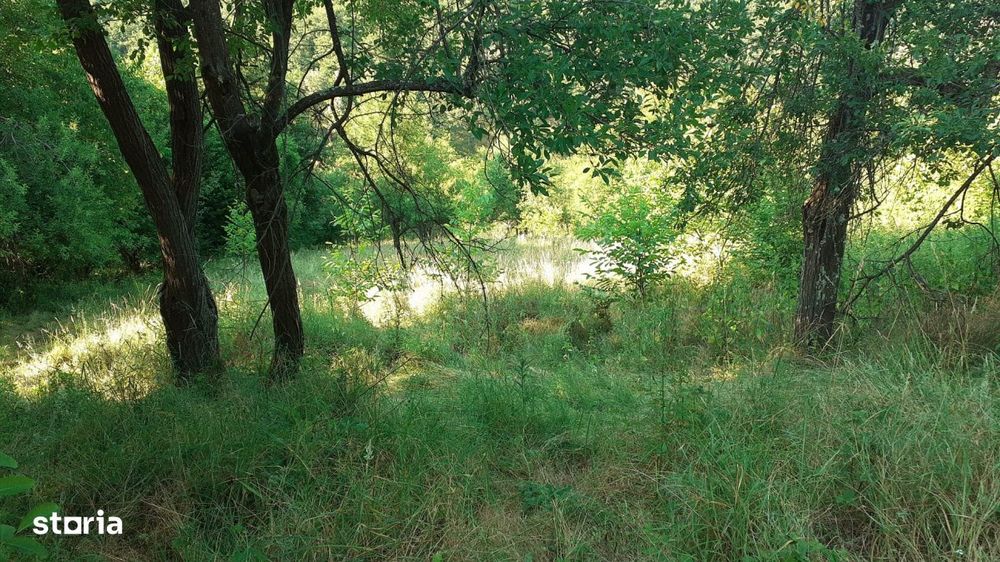 Roscani-Dobra-Teren Cabana-10km A1-Posibilitate Rate