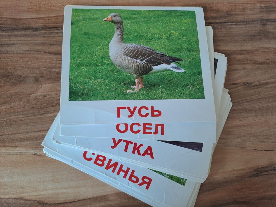 Карточки Домана б/у