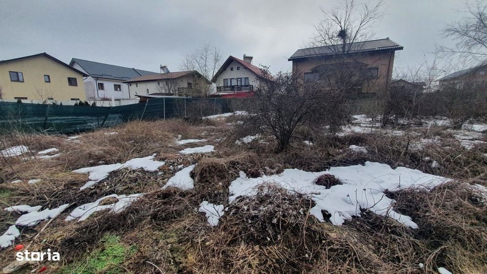 Teren 1000mp I De Vanzare I Cernica I Pantelimon