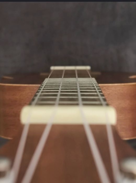 Укулеле Flight NUS310