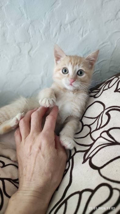 Очаровательная лапотулька-Мишель  В самые любящие ручки!