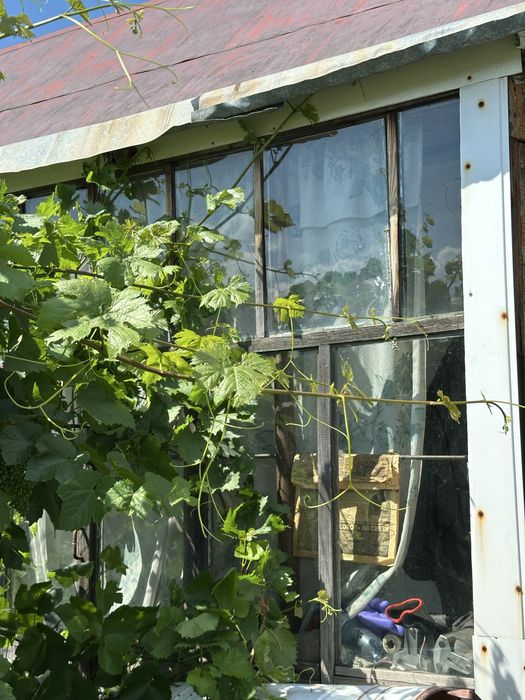 Продам дачу садовое общество КЖБИ
