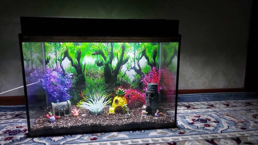 Готовые аквариумы под ключ