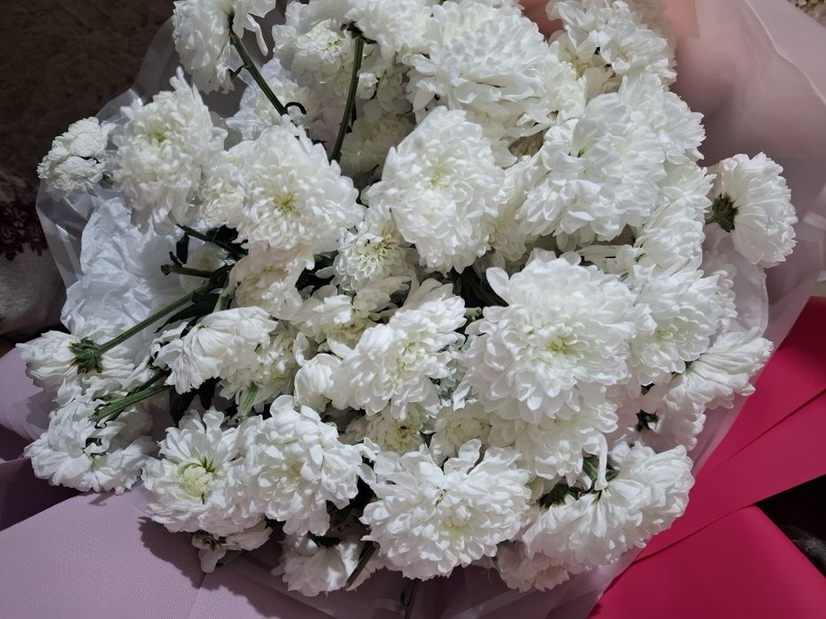 Цветы Живые б/у.