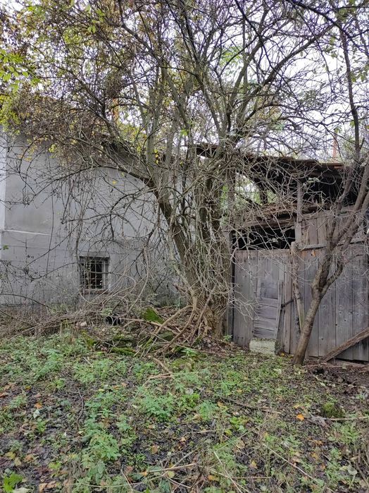 Продава се Парцел в с. Гайтанци, Област Видин - 5321 кв.м за 3 €/кв.м - Снимка #14