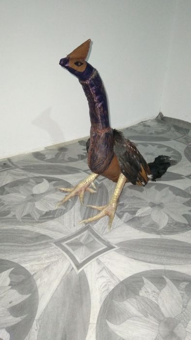 Хуроз учун макет сотилади