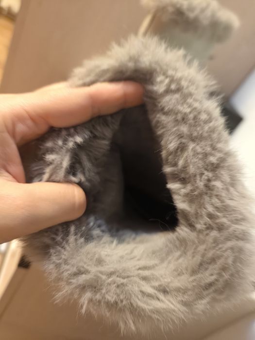 Cizme zăpadă Geox Amphibiox 38