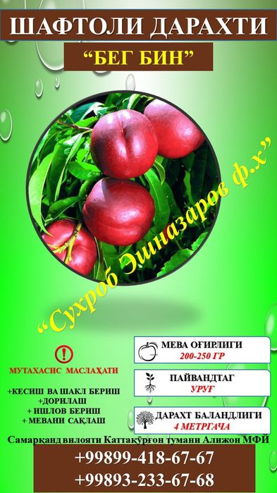 Мевали кўчатлар сифатли ва ишончли