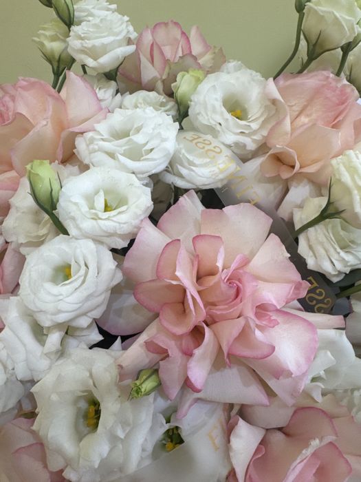 Свежый букет цветов