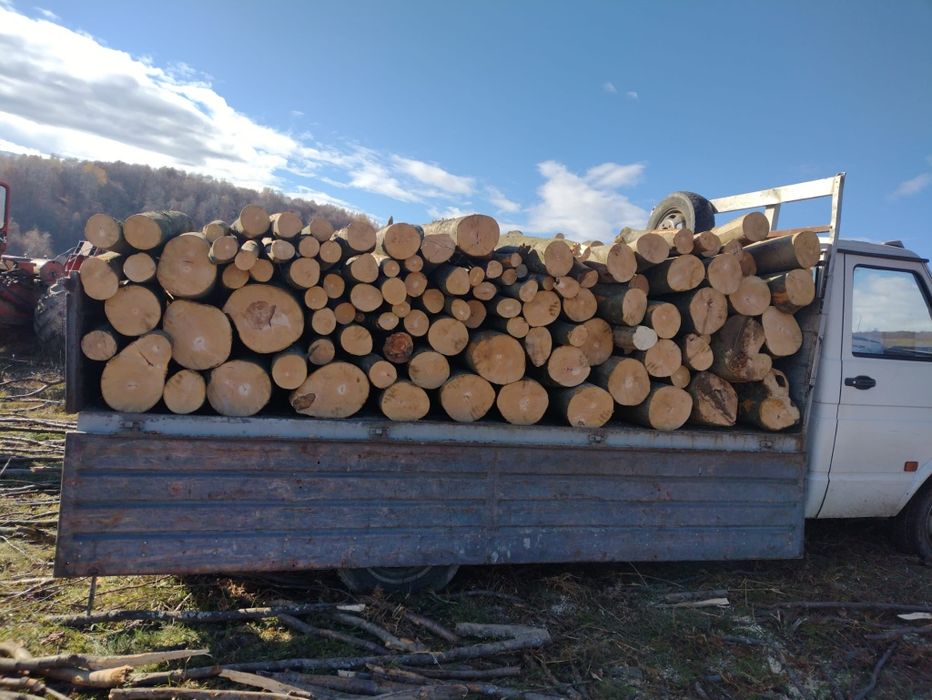 Vind lemne de foc fag carpen și ceroi la preț avantajos 1600camioneta