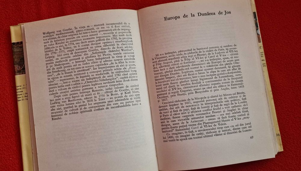 Istoria vazuta de aproape-Razvan Theodorescu