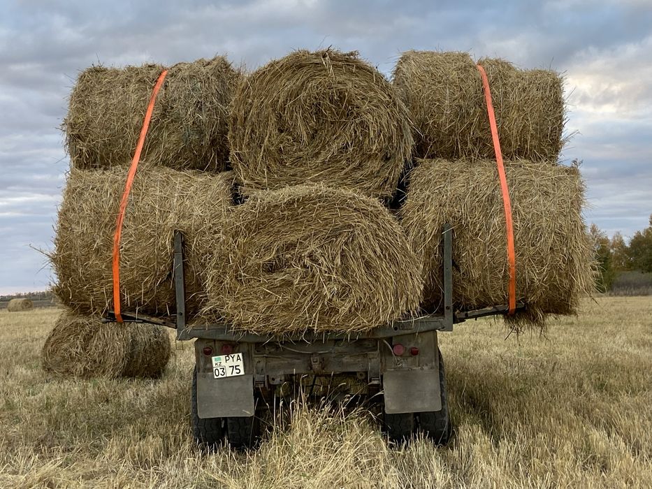 Продам Зил 130 полуприцеп