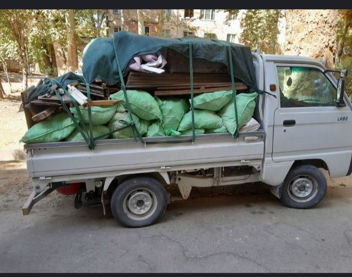 Musir olib ketish vivoz musur tashish